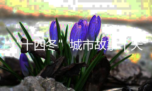 “十四冬”城市故事｜天天都有那达慕🕠，这里是陈巴尔虎旗