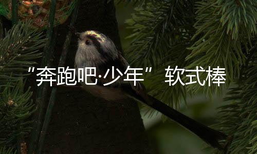 “奔跑吧·少年”软式棒垒球联赛总决赛在鄂尔多斯开幕