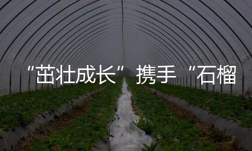 “茁壮成长”携手“石榴籽”一起做公益 上好体育课✏️，讲好普通话