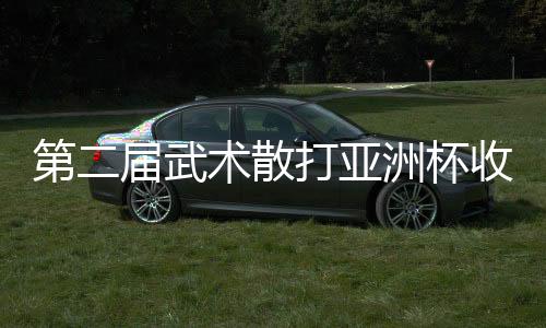 第二届武术散打亚洲杯收官：中国队夺9金2银居榜首