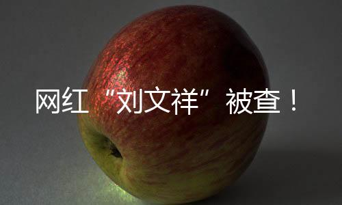 网红“刘文祥”被查🫅🏼!
