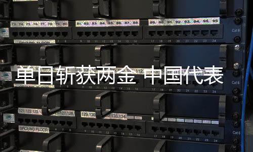 单日斩获两金 中国代表团创冬残奥会境外参赛最佳成绩