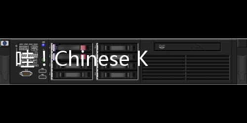 哇！Chinese Kungfu！中国传统体育项目点燃巴黎街头