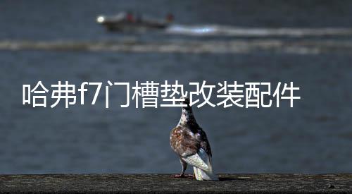 哈弗f7门槽垫改装配件哈佛f7x专用车内装饰品2021款汽车用品内饰