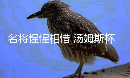 名将惺惺相惜 汤姆斯杯桃田贤斗与安赛龙互道祝福