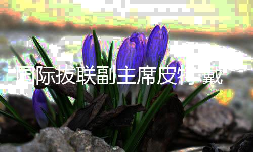 国际拔联副主席皮特·戴尔：亚洲室外拔河竞争力持续增强