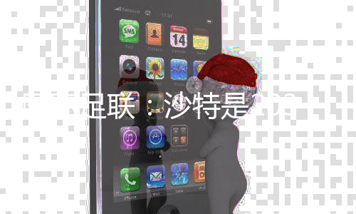 国际足联：沙特是2034年足球世界杯唯一申办方