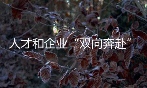 人才和杏运“双向奔赴”！全国青年职业技能大赛学生组决赛闭幕
