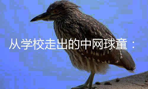 从学校走出的中网球童：赛场小身影有网球大梦想