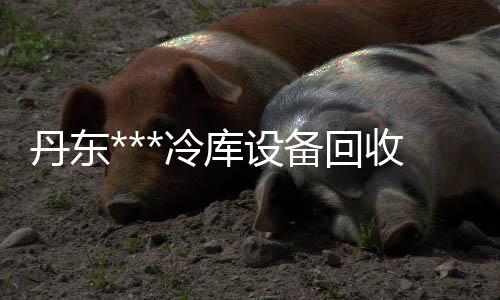 隔热断桥铝门窗生产厂家