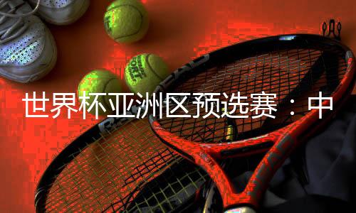 世界杯亚洲区预选赛🧍♀️:中国队与新加坡队举行赛前新闻发布会