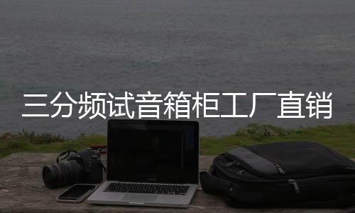 三分频试音箱柜工厂直销汽车音响改装店音响箱柜组合低音炮箱包邮