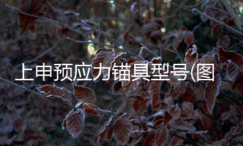 内蒙古斯彼得断桥铝合金杏运「在线咨询」