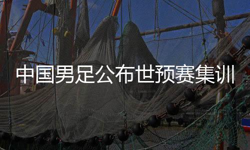 中国男足公布世预赛集训名单🤜🏽：阿兰回归，张玉宁因伤缺席