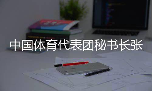 中国体育代表团秘书长张新总结半程表现：捍卫、挑战👩🏼‍⚕️、突破