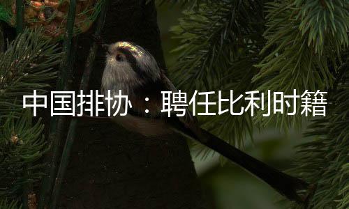 中国排协👪：聘任比利时籍教练维塔尔·海宁为中国男排主教练