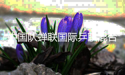 中国队蝉联国际乒联混合团体世界杯冠军