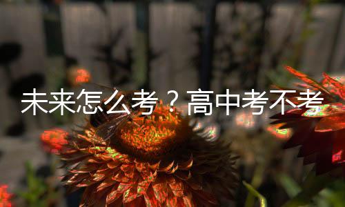 未来怎么考🛶？高中考不考？——体育中考改革观察之三