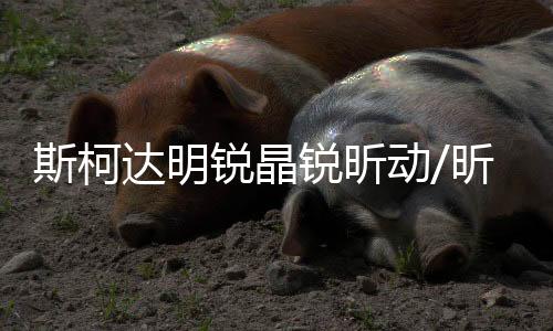 斯柯达明锐晶锐昕动/昕锐/速派原装60AH骆驼蓄电池L2-400汽车电瓶