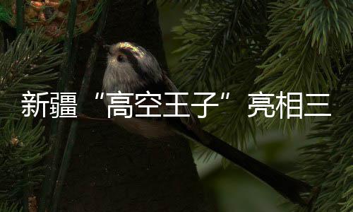 新疆“高空王子”亮相三亚 讲述非遗“达瓦孜”的传承故事