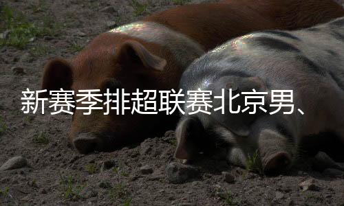 新赛季排超联赛北京男🟧👩🏻‍🦽‍➡️、女排回归主场光彩体育馆