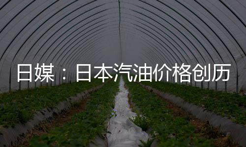 日媒🌿：日本汽油价格创历史新高，已连续5周上涨
