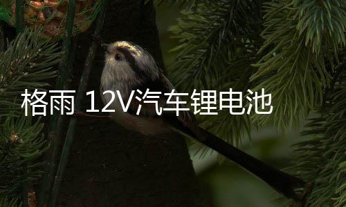 格雨 12V汽车锂电池 80D26LR S95 100AH大容量磷酸铁锂电瓶汉兰达