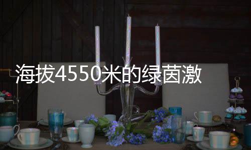 海拔4550米的绿茵激情✥：玉树少年用热爱踢出“世界波”