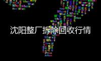 沈阳整厂拆除回收行情