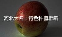 河北大名：特色种植辟新路 大棚鲜花助农增收