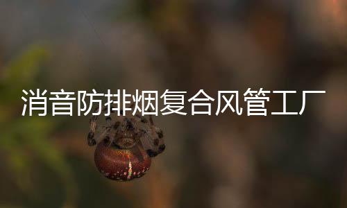 消音防排烟复合风管工厂