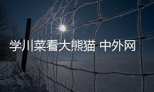 学川菜看大熊猫 中外网球运动员爱上成都安逸慢生活