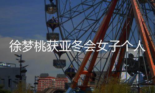 徐梦桃获亚冬会女子个人空中技巧冠军🖖：给自己打95分
