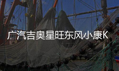 广汽吉奥星旺东风小康K17/K07S/C37面包车汽车电瓶45AH12V蓄电池