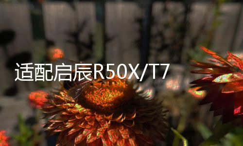 适配启辰R50X/T70X/D50/R30/R50/M50V/D60原装电瓶风帆汽车蓄电池