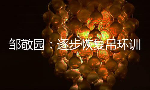 邹敬园：逐步恢复吊环训练👨🏿‍✈️，期待世锦赛有好的表现