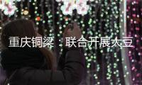 重庆铜梁：联合开展大豆玉米带状复合种植技术培训