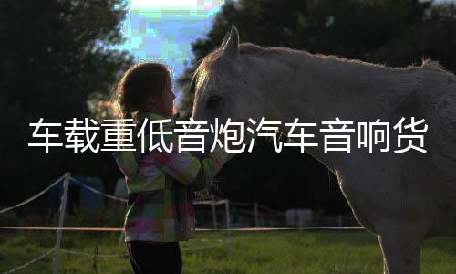 车载重低音炮汽车音响货车12v24v220v家用无线蓝牙音箱电脑小钢炮