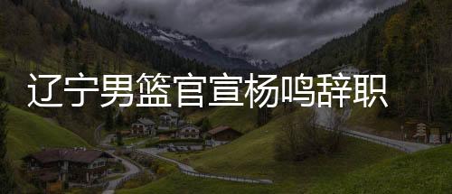 辽宁男篮官宣杨鸣辞职 原助理教练暂代主教练职