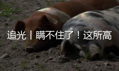 追光丨瞒不住了！这所高校的学生居然会“一苇渡江”
