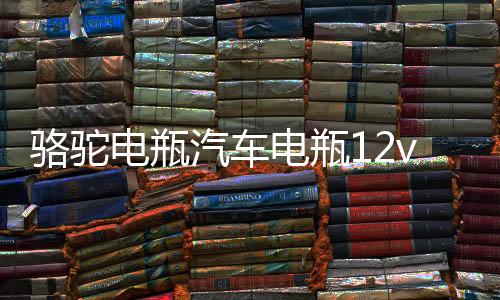 骆驼电瓶汽车电瓶12v45ah免维护汽车蓄电池
