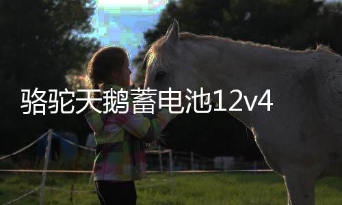 骆驼天鹅蓄电池12v45ah适配原装五菱宏光金刚长安面包车汽车电瓶