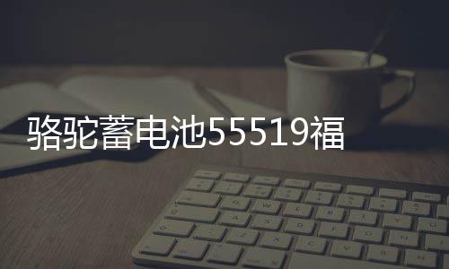 骆驼蓄电池55519福特福克斯嘉年华马自达3/2赛欧汽车电瓶12V55ah