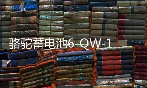 骆驼蓄电池6-QW-120-k适配依维柯货车农用车汽车电瓶 以旧换新