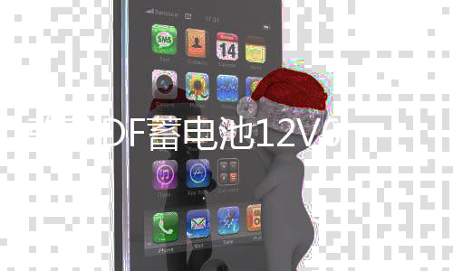 骆驼DF蓄电池12V60AH适配朗逸奇瑞A3科鲁兹速腾荣威汽车电瓶L2400
