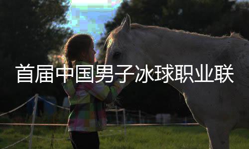 首届中国男子冰球职业联赛总决赛开幕 北京😥、深圳迎“开门红”
