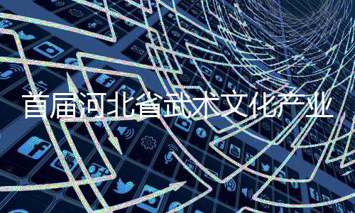 首届河北省武术文化产业发展交流大会展示武术魅力