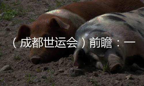 （成都世运会）前瞻：一场体育与科技“双向奔赴”的盛会