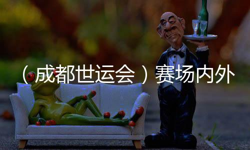 （成都世运会）赛场内外气象万千——盘点成都世运会“名场面”