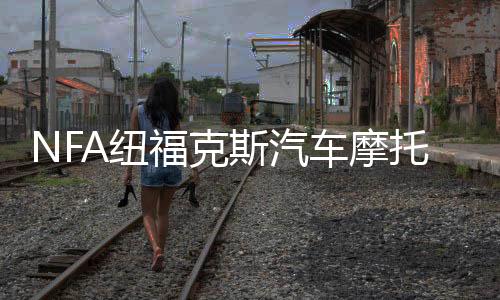 NFA纽福克斯汽车摩托车电瓶充电器12V数显全自动车载蓄电池充电机